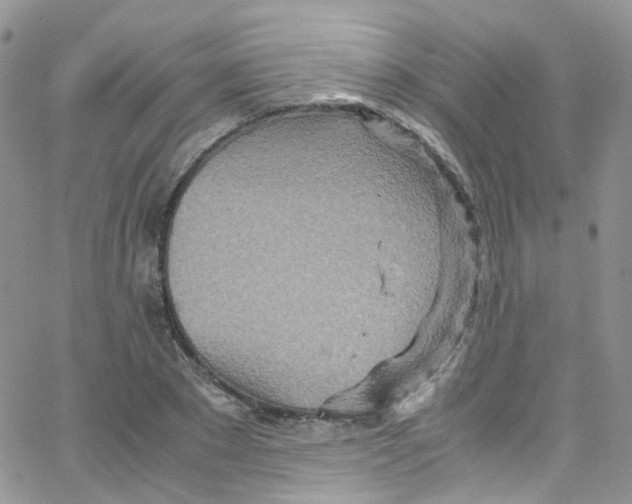 X0000065250881200603131125