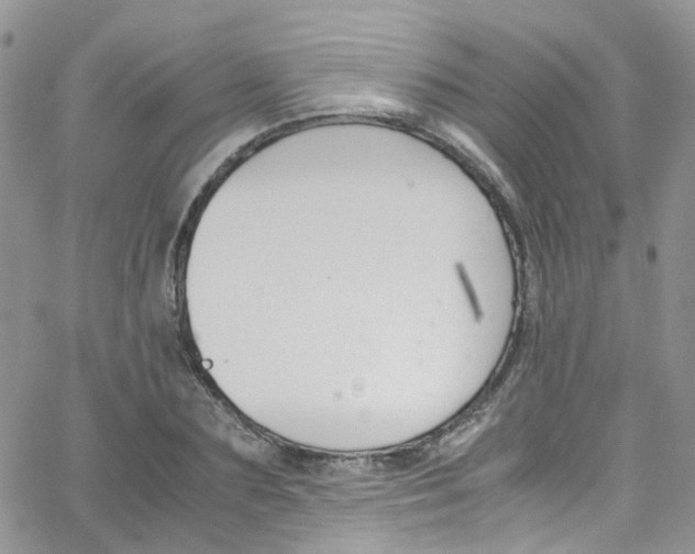 X0000065250883200603131125