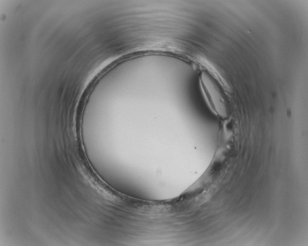 X0000065250884200603131125