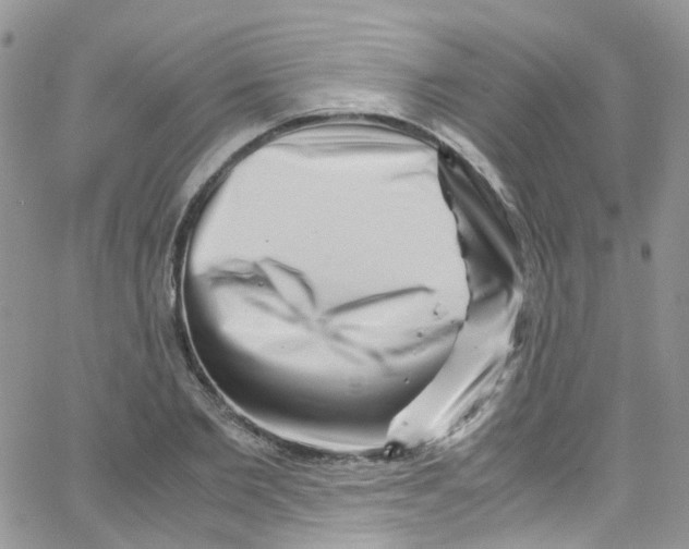 X0000065250885200603131125