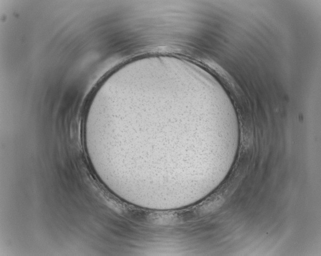 X0000065250886200603131125