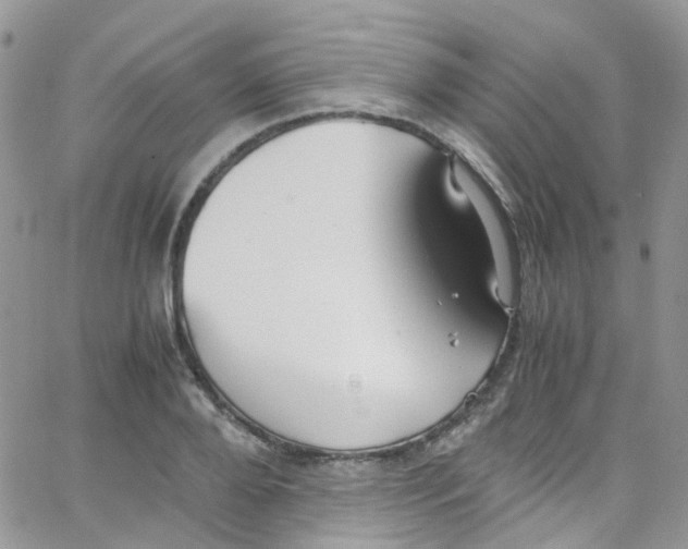 X0000065250888200603131125