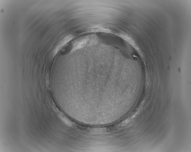 X0000065250889200603131125