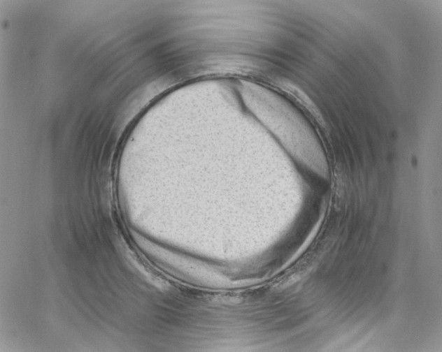 X0000065250890200603131125