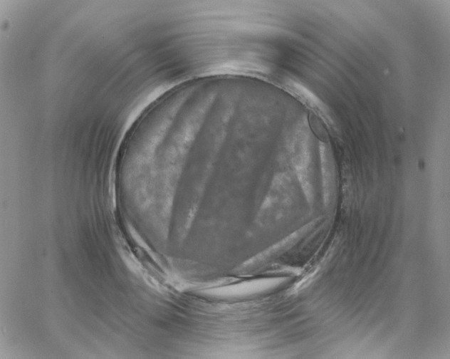 X0000065250892200603131125