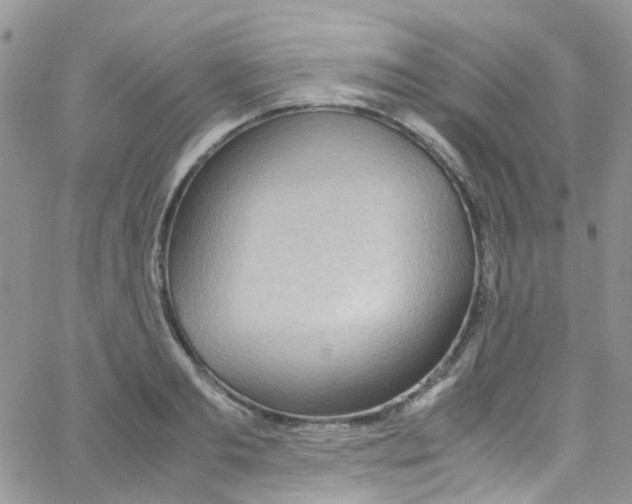 X0000065250893200603131125