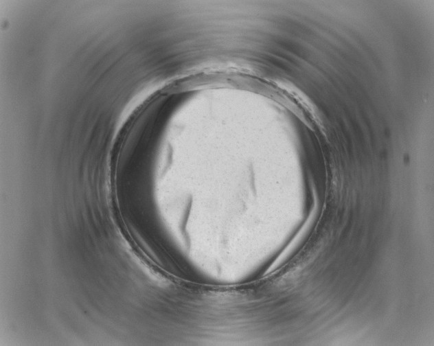 X0000065250894200603131125