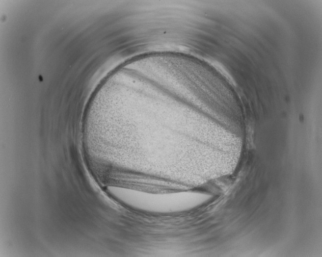 X0000065250895200603131125