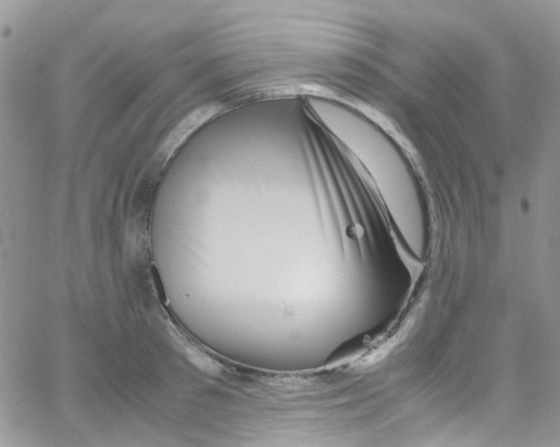 X0000065250897200603131125