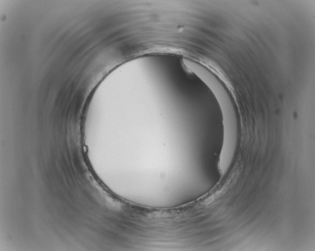 X0000065250898200603131125