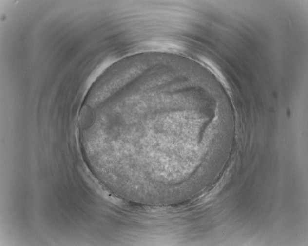 X0000065250899200603131125