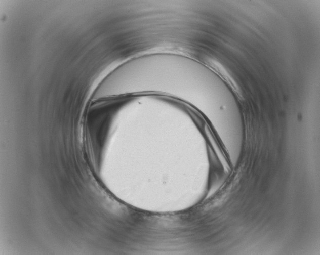 X0000065250900200603131125