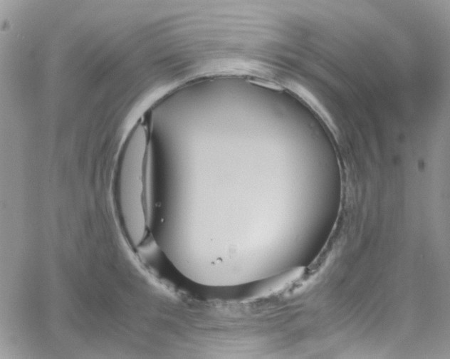 X0000065250901200603131125