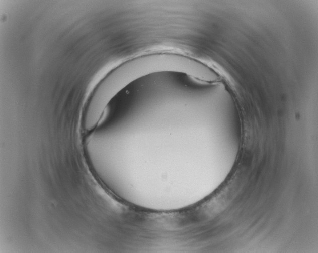 X0000065250902200603131125