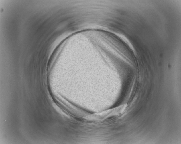 X0000065250903200603131125