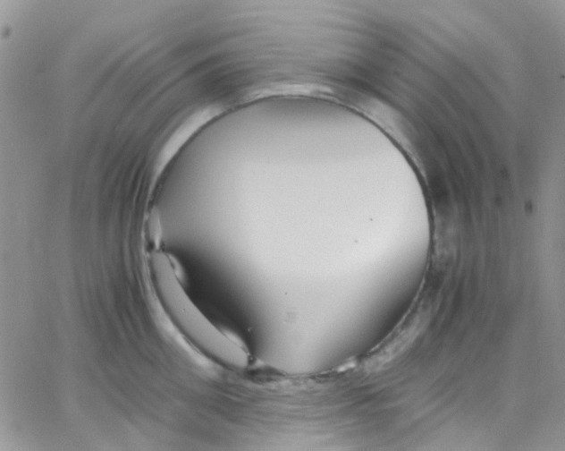 X0000065250906200603131125