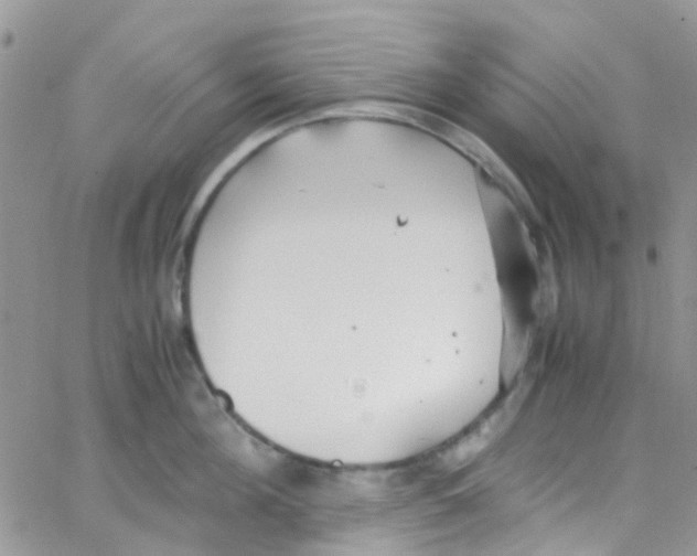 X0000065250908200603131125