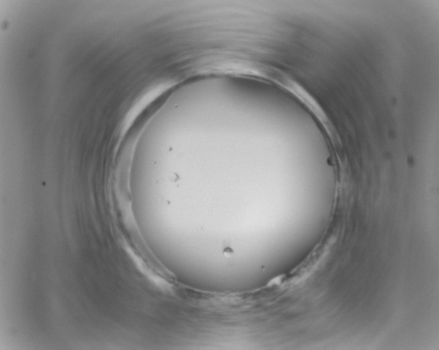 X0000065250909200603131125