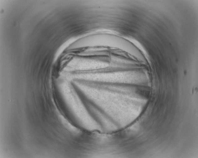 X0000065250910200603131125