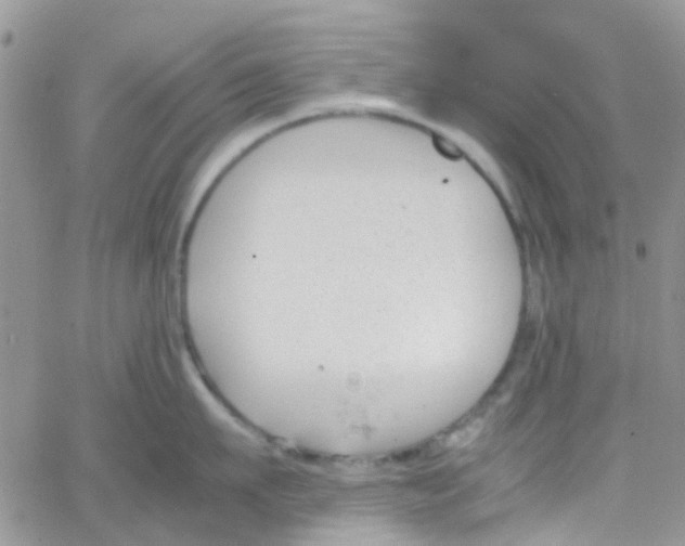 X0000065250911200603131125