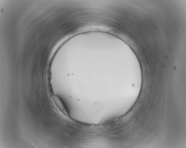 X0000065250912200603131125