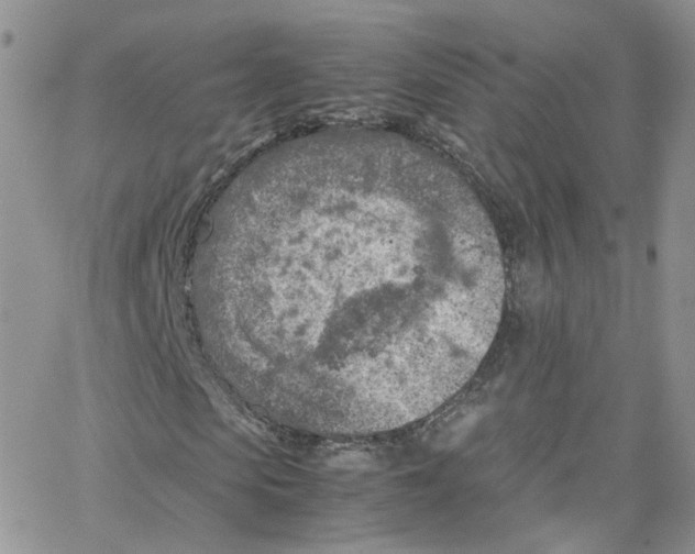 X0000065250913200603131124