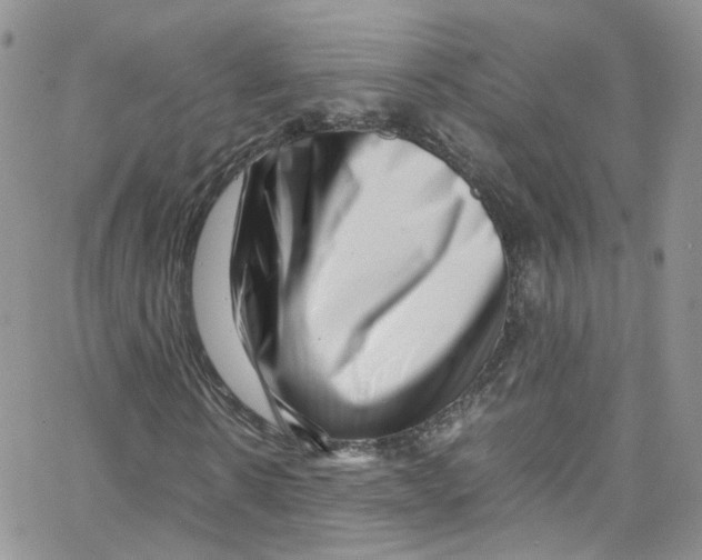 X0000065250914200603131124