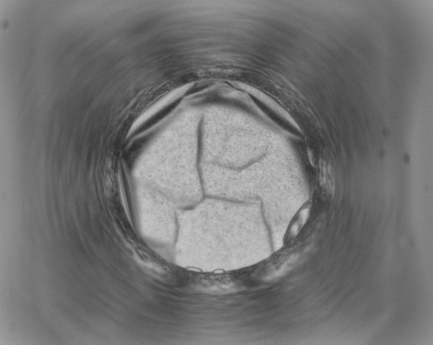 X0000065250915200603131124