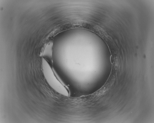 X0000065250916200603131124