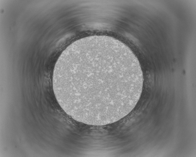 X0000065250918200603131124