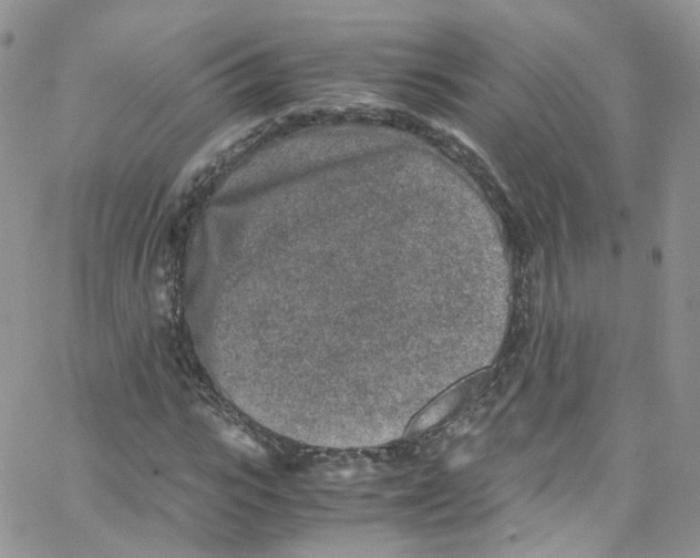 X0000065250919200603131124