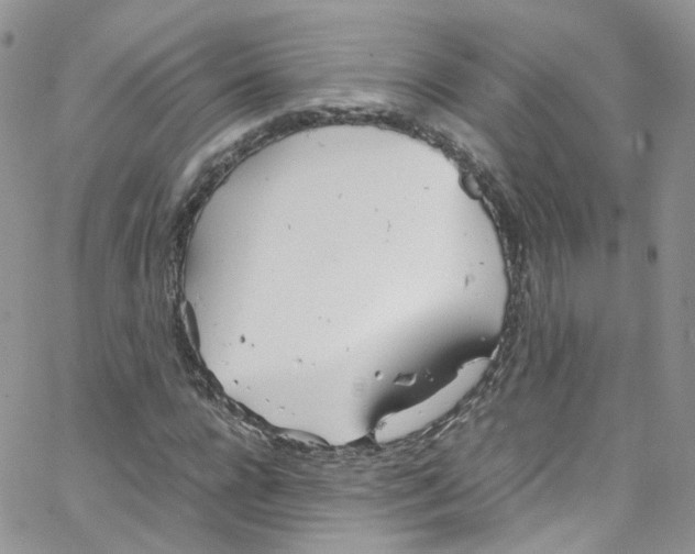 X0000065250920200603131124