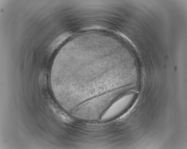 X0000065250921200603131124