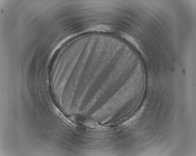 X0000065250923200603131124