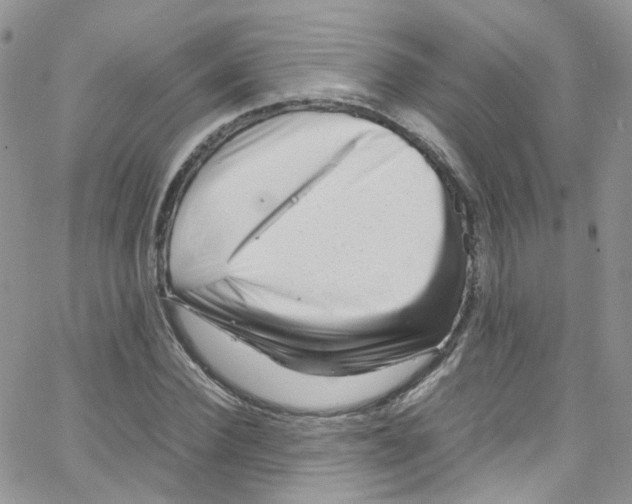 X0000065250924200603131124