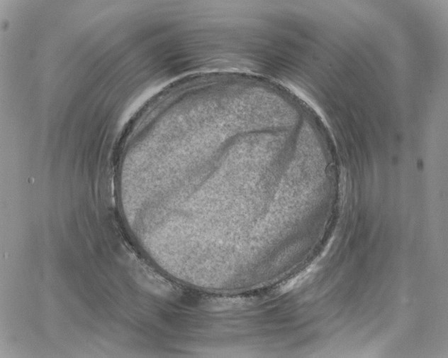 X0000065250925200603131124