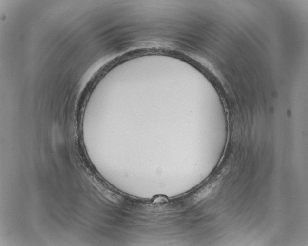 X0000065250927200603131124