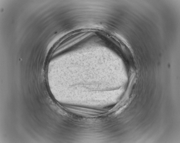 X0000065250928200603131124