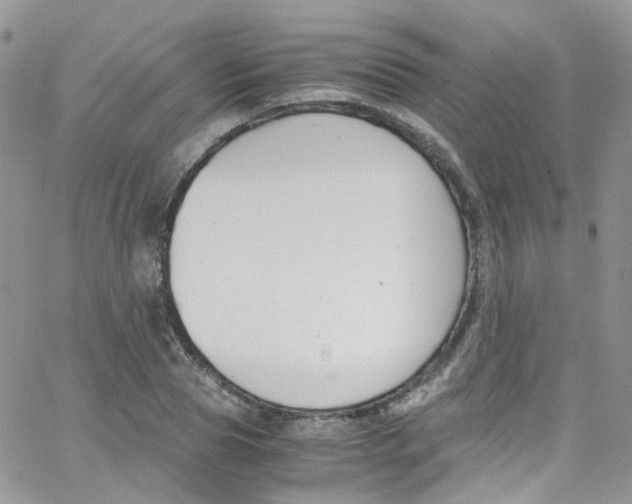 X0000065250929200603131124