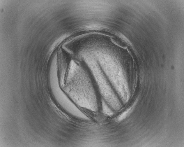 X0000065250930200603131124