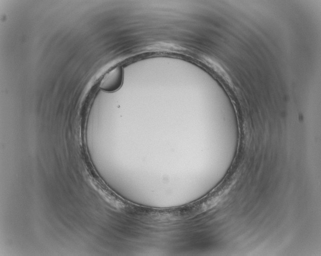 X0000065250931200603131124