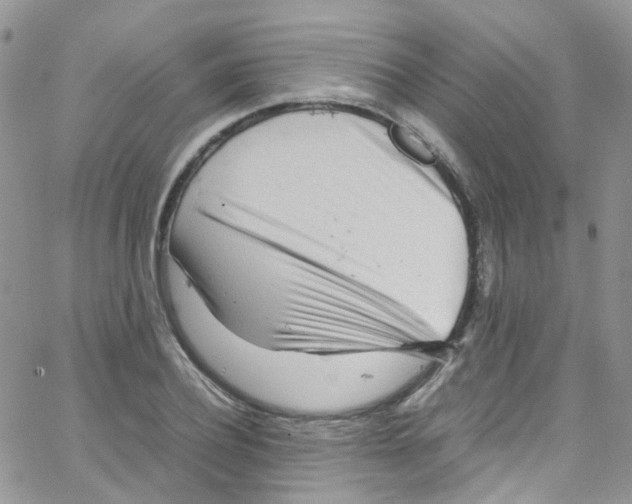 X0000065250932200603131124