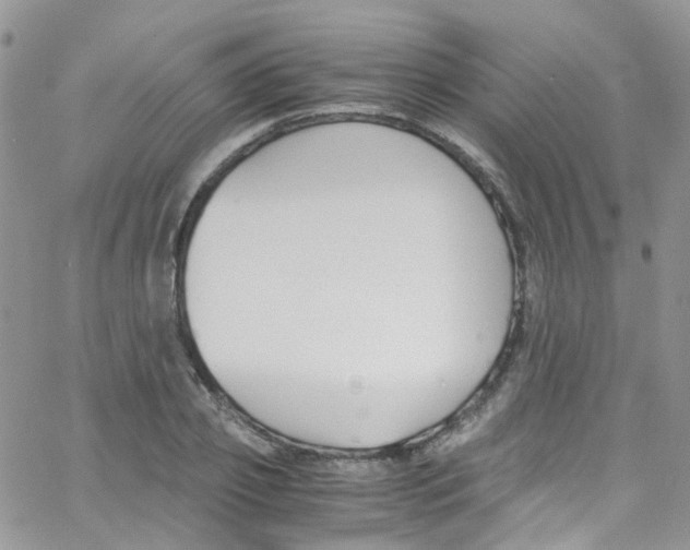 X0000065250933200603131124