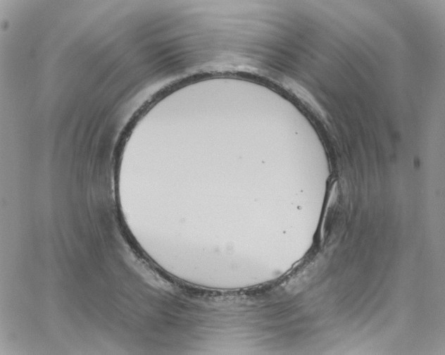 X0000065250934200603131124