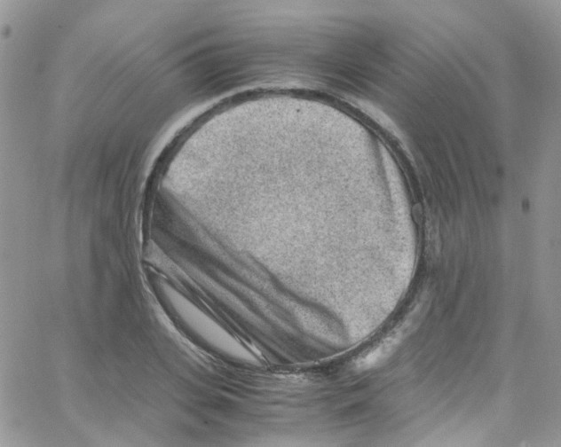 X0000065250935200603131124