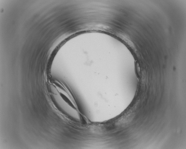 X0000065250936200603131124