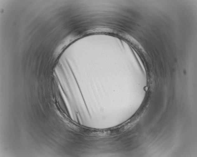 X0000065250937200603131124