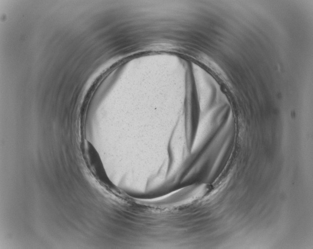 X0000065250939200603131124