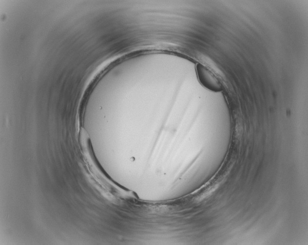 X0000065250940200603131124