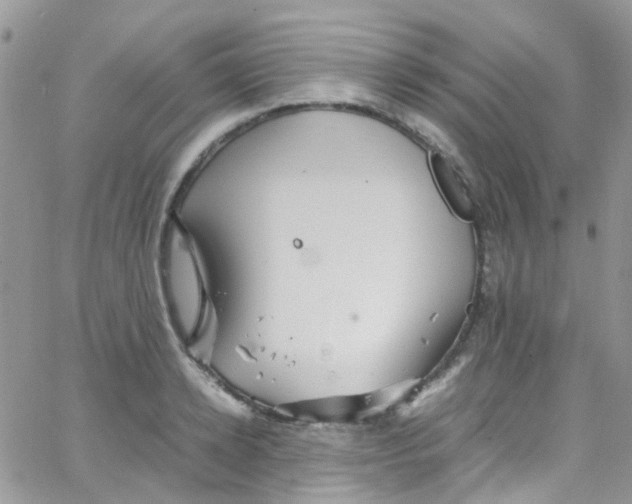 X0000065250942200603131124